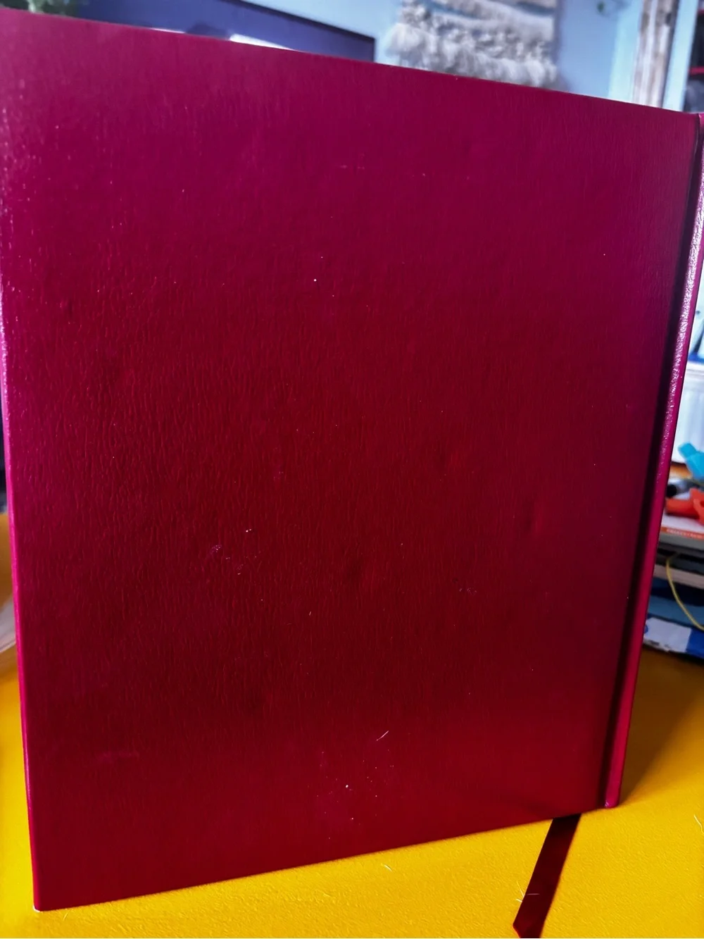 National Geographic Inside the Vatican Hardcover 1991